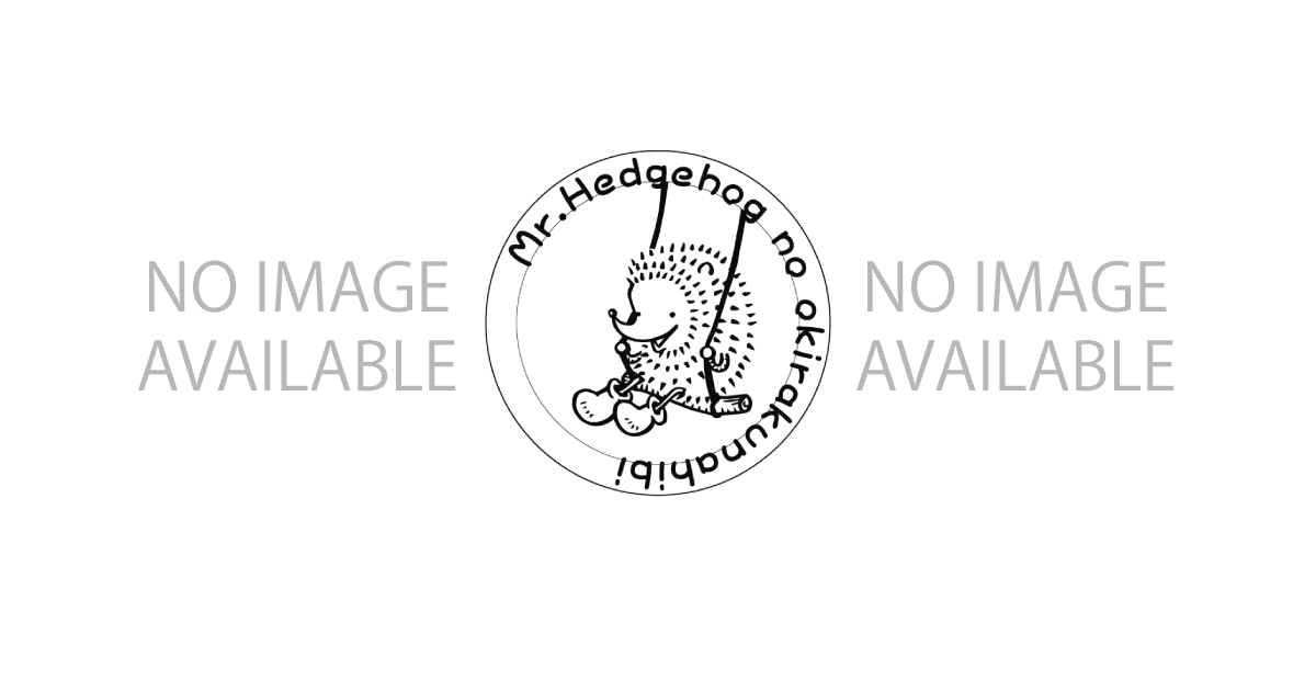 辺久研究所訪問記: 最新プロジェクトと地域連携